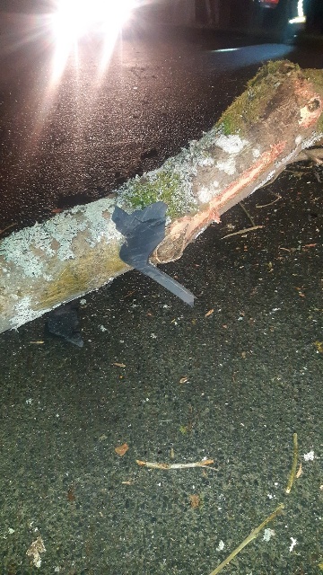 20230311_004617_resized groß.jpg